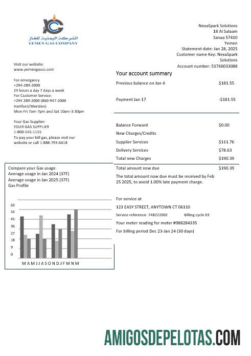 realista Modelo de conta de serviços públicos da Yemen Gas Company em formatos Word e PDF